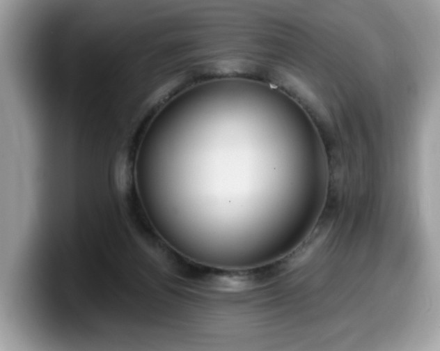 X0000099970164200805301341