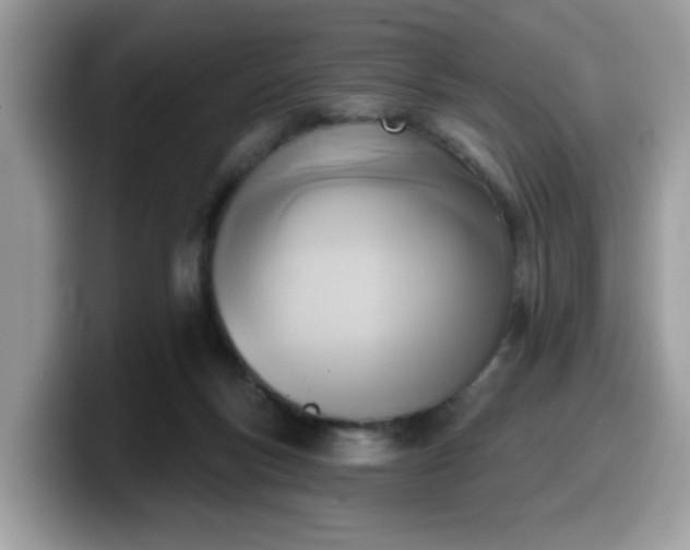 X0000099970167200805301341