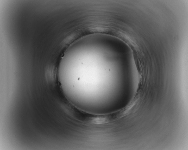 X0000099970168200805301341