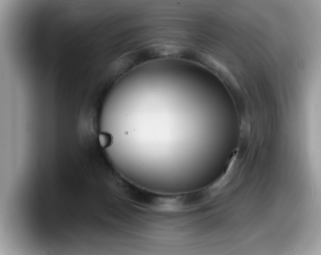 X0000099970170200805301341