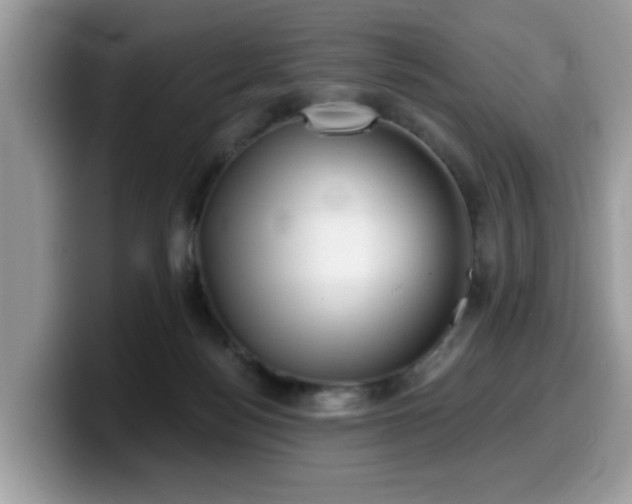 X0000099970172200805301341