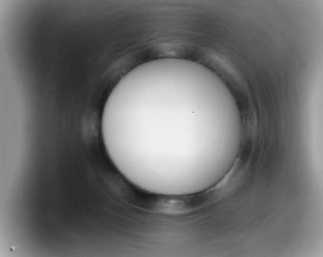 X0000099970174200805301341