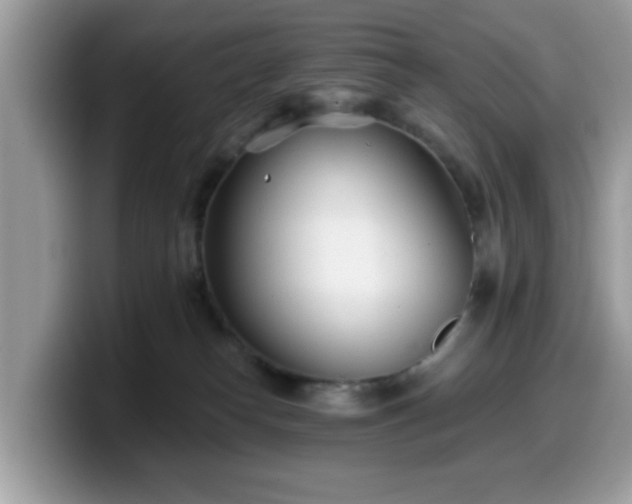 X0000099970182200805301341