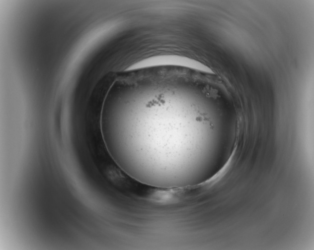 X0000099970190200805301341