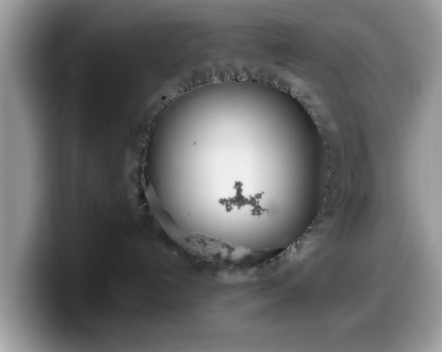 X0000099970192200805301341