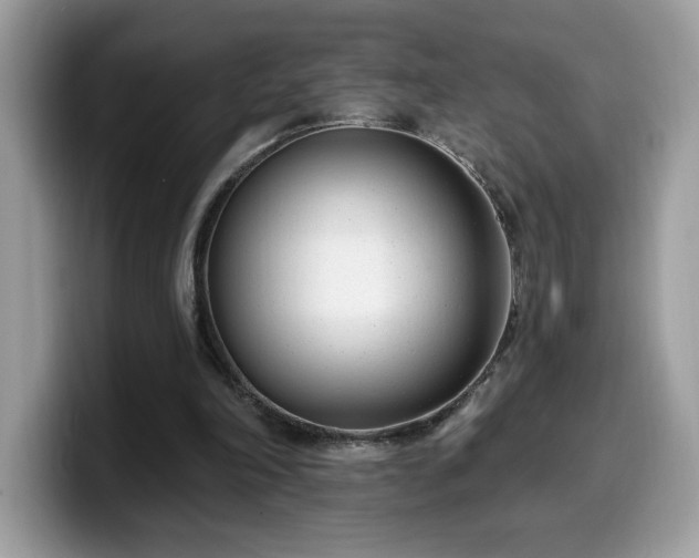 X0000099970198200805301340