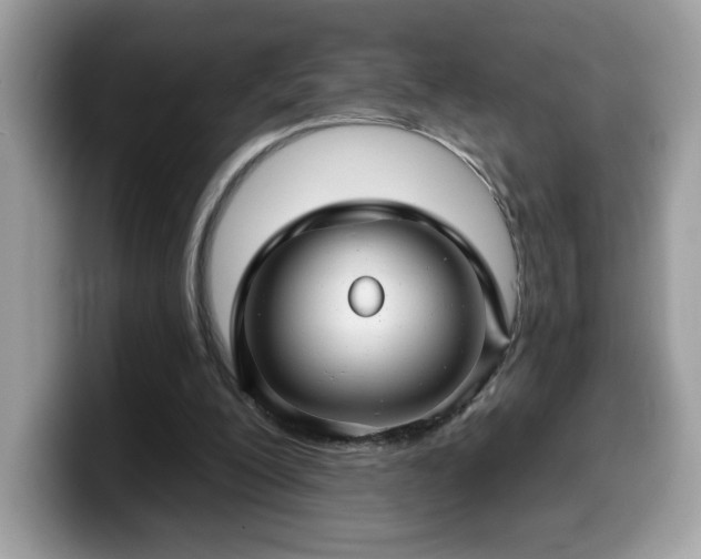 X0000099970200200805301340