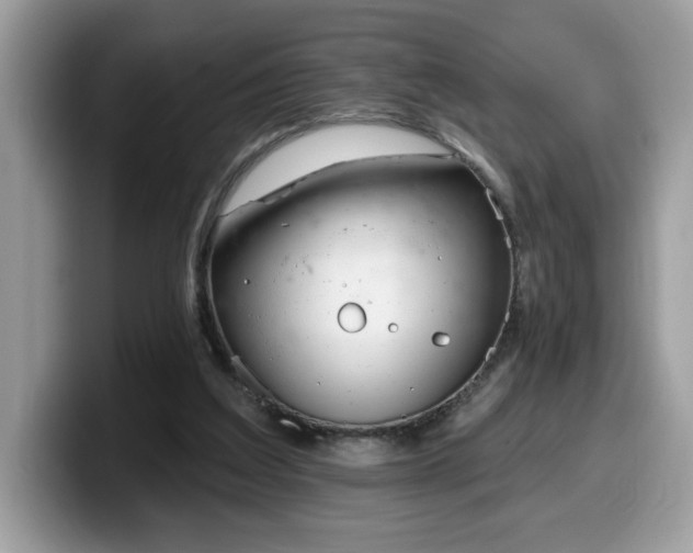 X0000099970203200805301340