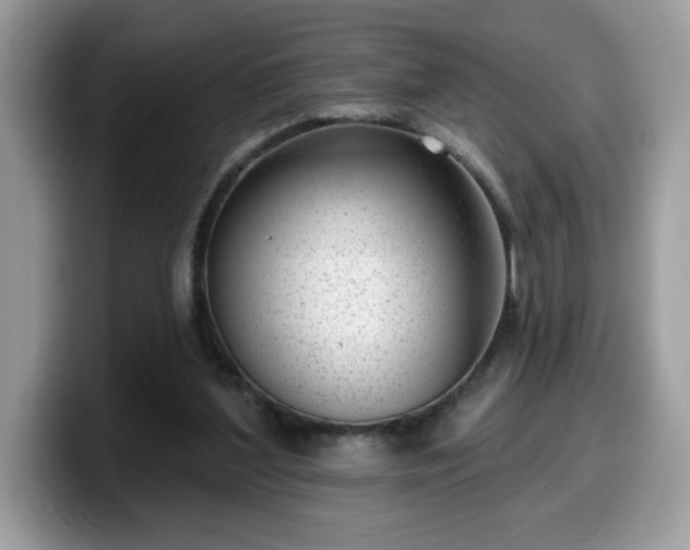 X0000099970204200805301340