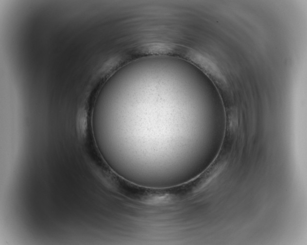 X0000099970206200805301340