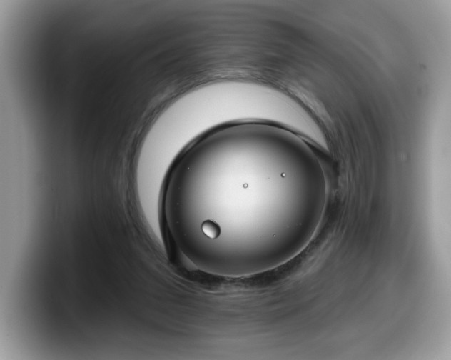 X0000099970207200805301340