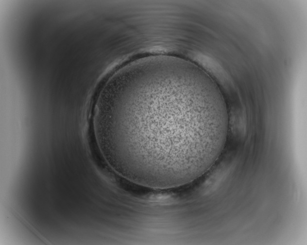 X0000099970208200805301340