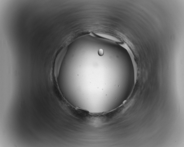 X0000099970209200805301340