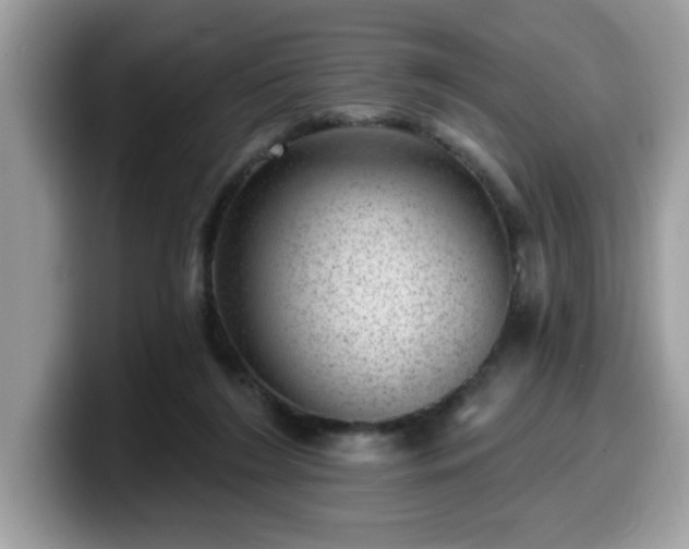 X0000099970212200805301340