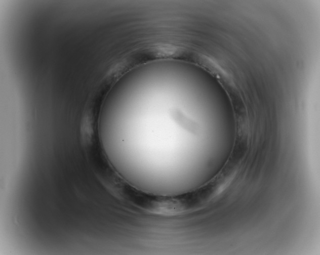 X0000099970215200805301340