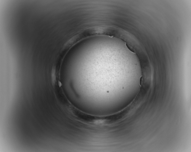 X0000099970216200805301340