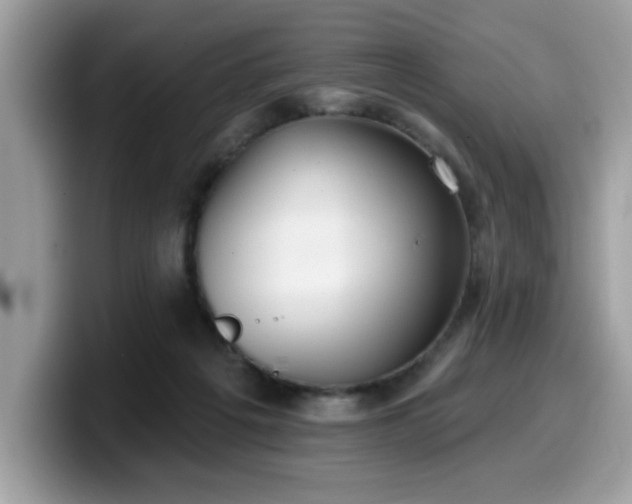 X0000099970217200805301340