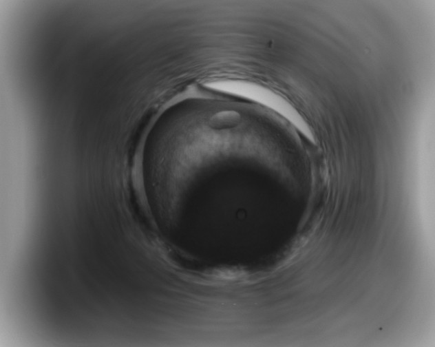 X0000099970223200805301340