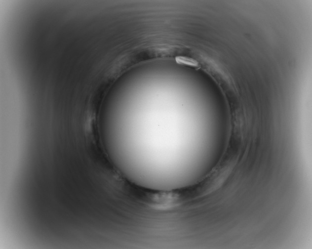 X0000099970225200805301340