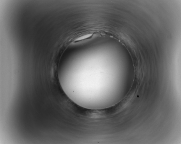 X0000099970229200805301340