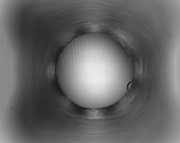 X0000099970230200805301340