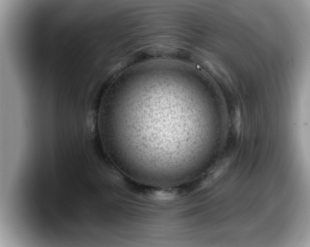 X0000099970232200805301340