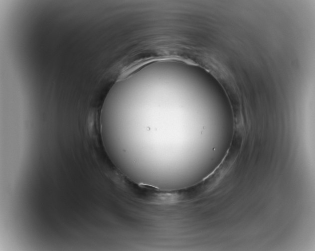 X0000099970233200805301340