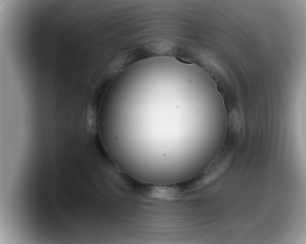 X0000099970234200805301340