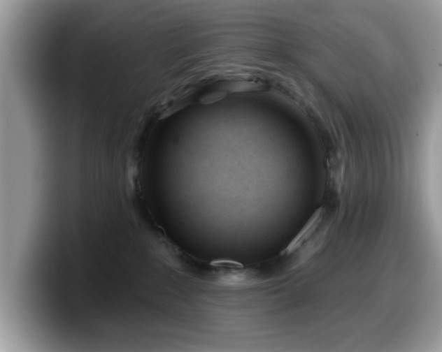 X0000099970235200805301340