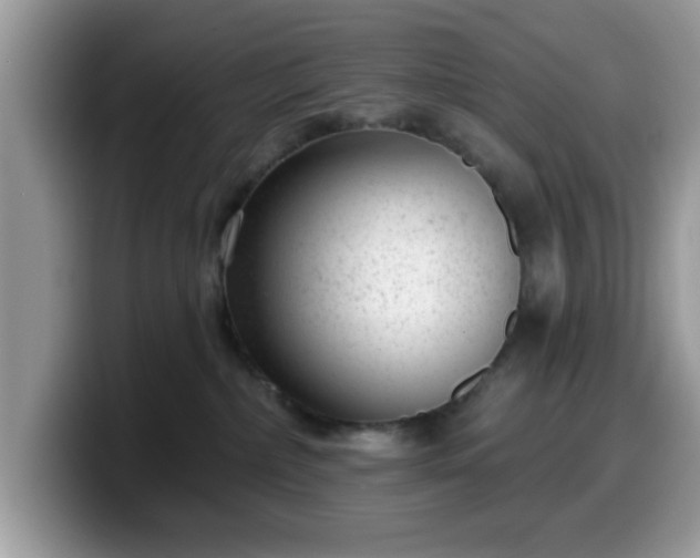 X0000099970236200805301340