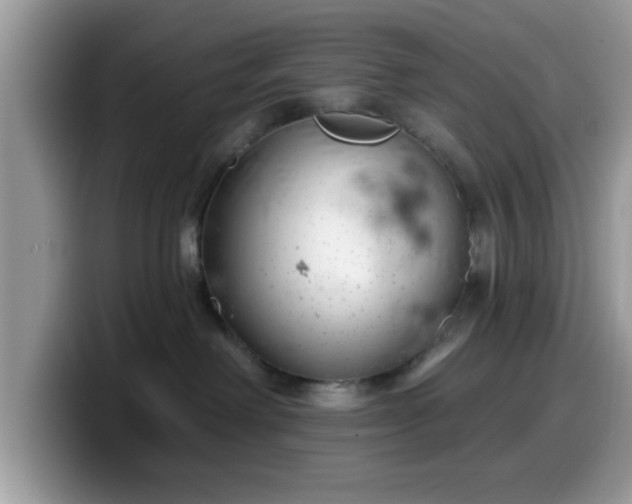 X0000099970238200805301340