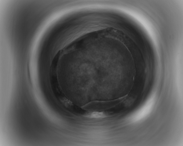 X0000099970239200805301340