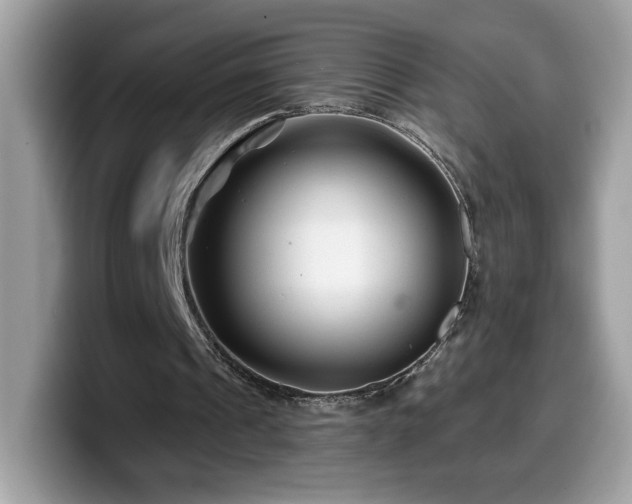 X0000099970241200805301339