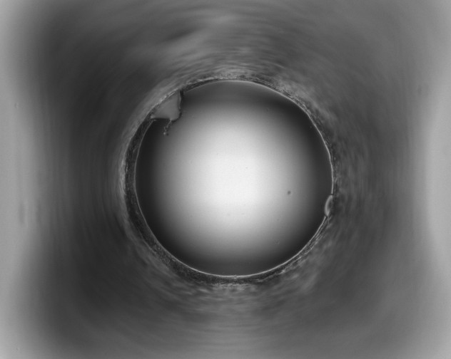 X0000099970242200805301339