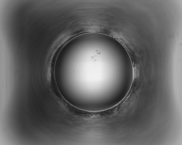 X0000099970243200805301339