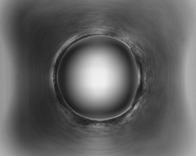 X0000099970244200805301339