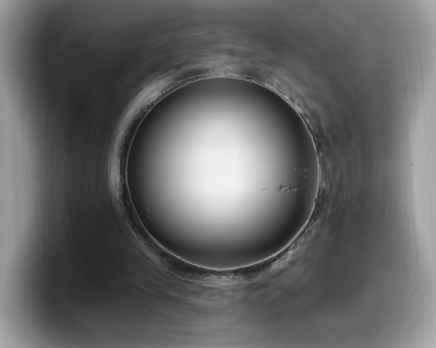 X0000099970245200805301339