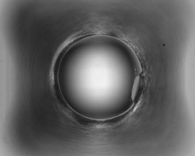 X0000099970246200805301339