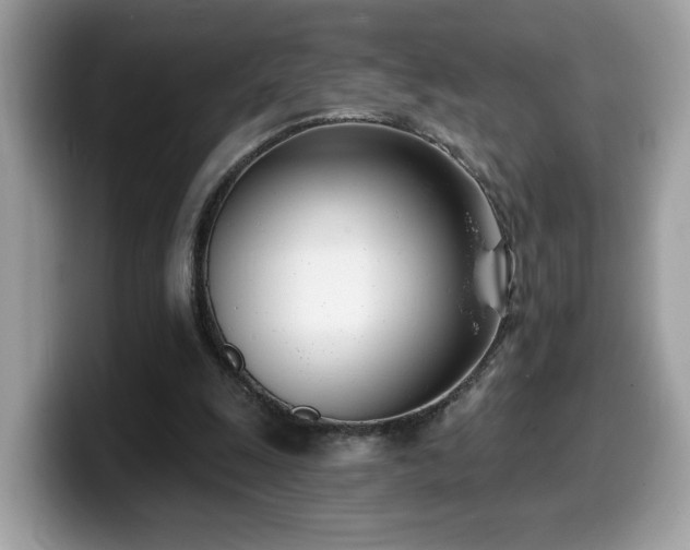 X0000099970247200805301339