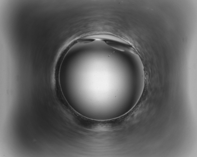 X0000099970248200805301339