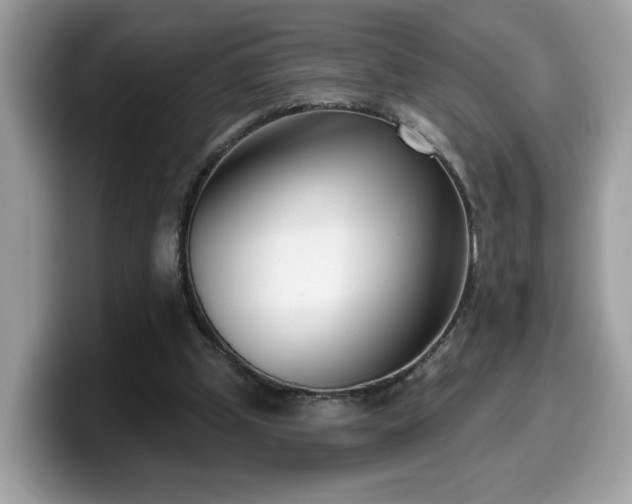 X0000099970249200805301339