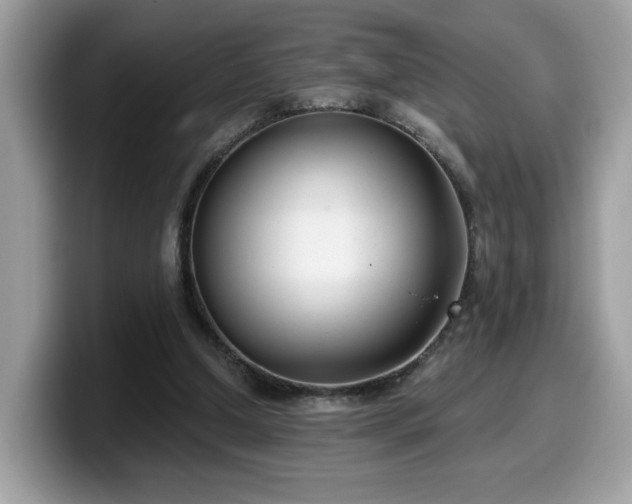 X0000099970250200805301339