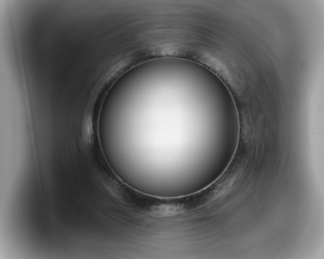 X0000099970251200805301339