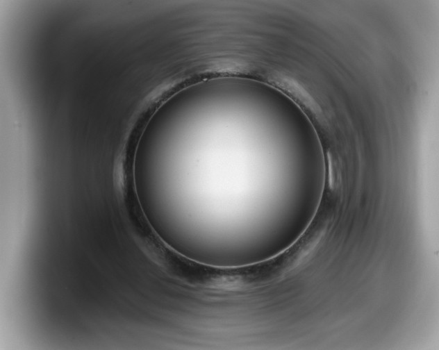 X0000099970252200805301339