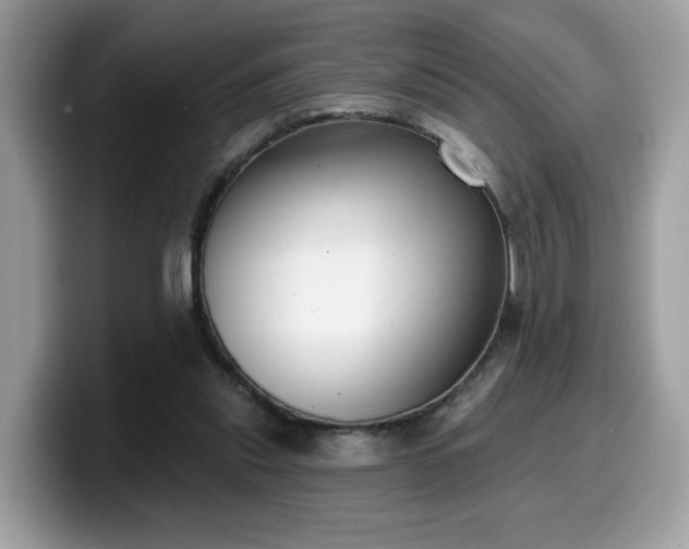 X0000099970253200805301339