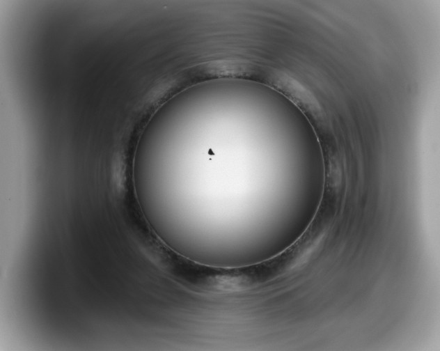 X0000099970255200805301339