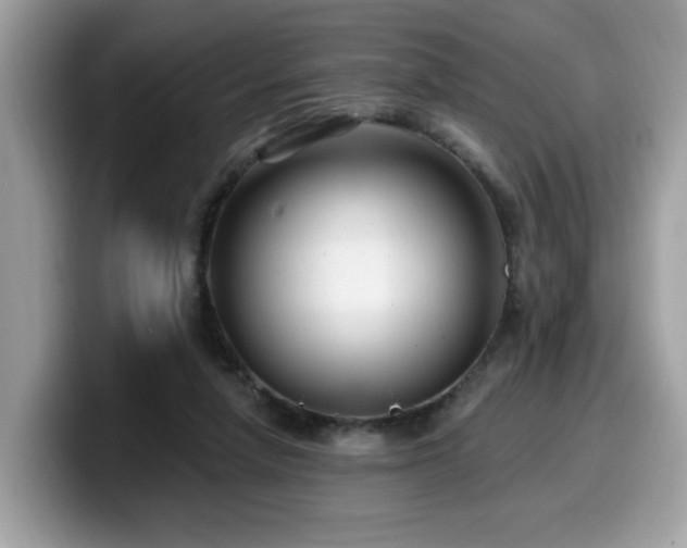 X0000099970258200805301339