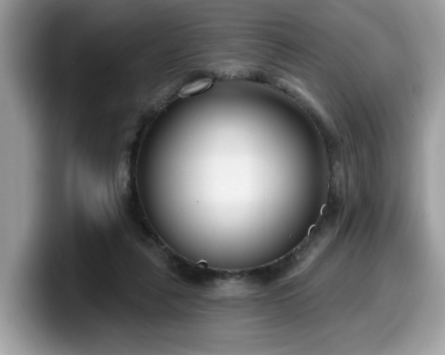 X0000099970259200805301339