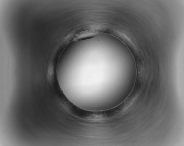 X0000099970260200805301339