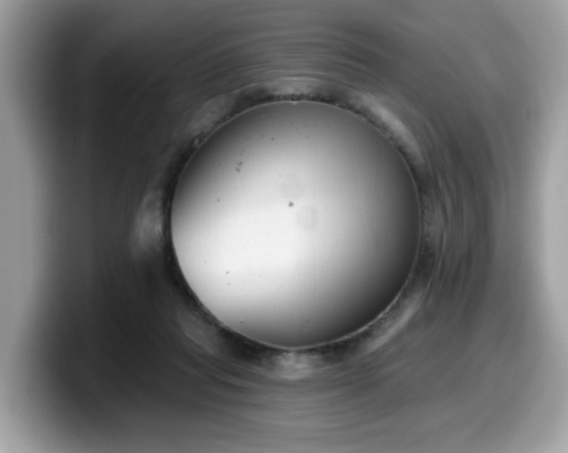 X0000099970261200805301339